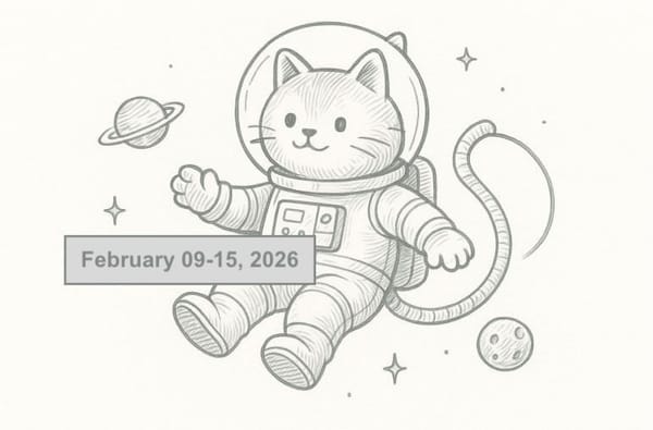 SerpApi Weekly Changelog: February 09-15, 2026